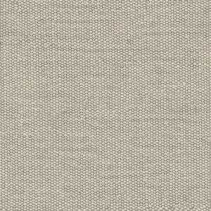 SilverGray
