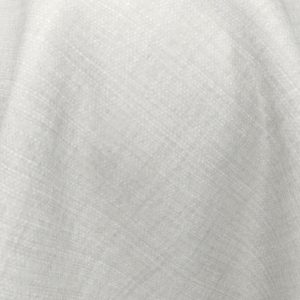 Averment Ivory